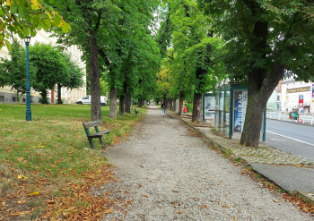 Další etapa revitalizace Jiráskových sadů začíná