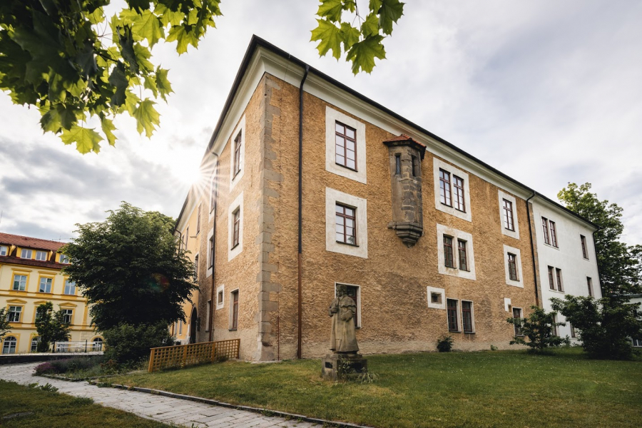 Obrázek 100265